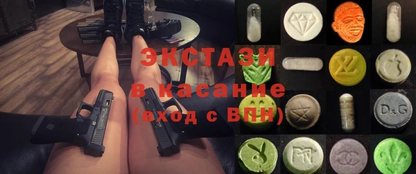 индика Горнозаводск