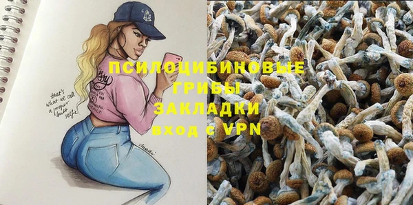 ПСИЛОЦИБИНОВЫЕ ГРИБЫ Горно-Алтайск