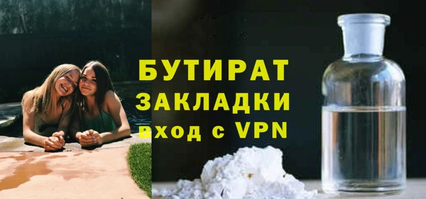 индика Горнозаводск