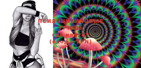 MESCALINE Вяземский