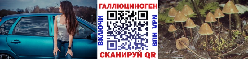 мега   Жуков  Псилоцибиновые грибы ЛСД 
